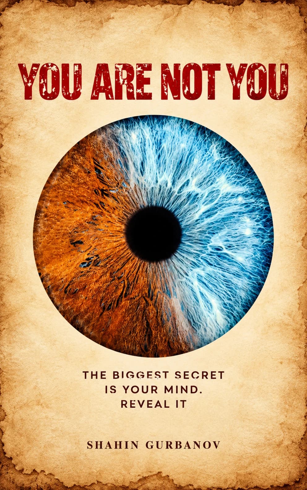 You Are Not You, digital book by Shahin Gurbanov